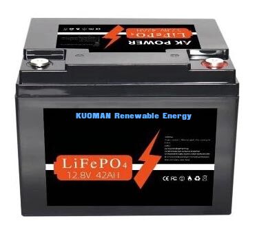 Pin Lithium 537.6Wh 12V 40Ah Chu kỳ sâu LiFePO4 cho Lưu trữ Năng lượng và Xe golf