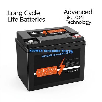 Pin Lithium 537.6Wh 12V 40Ah Chu kỳ sâu LiFePO4 cho Lưu trữ Năng lượng và Xe golf